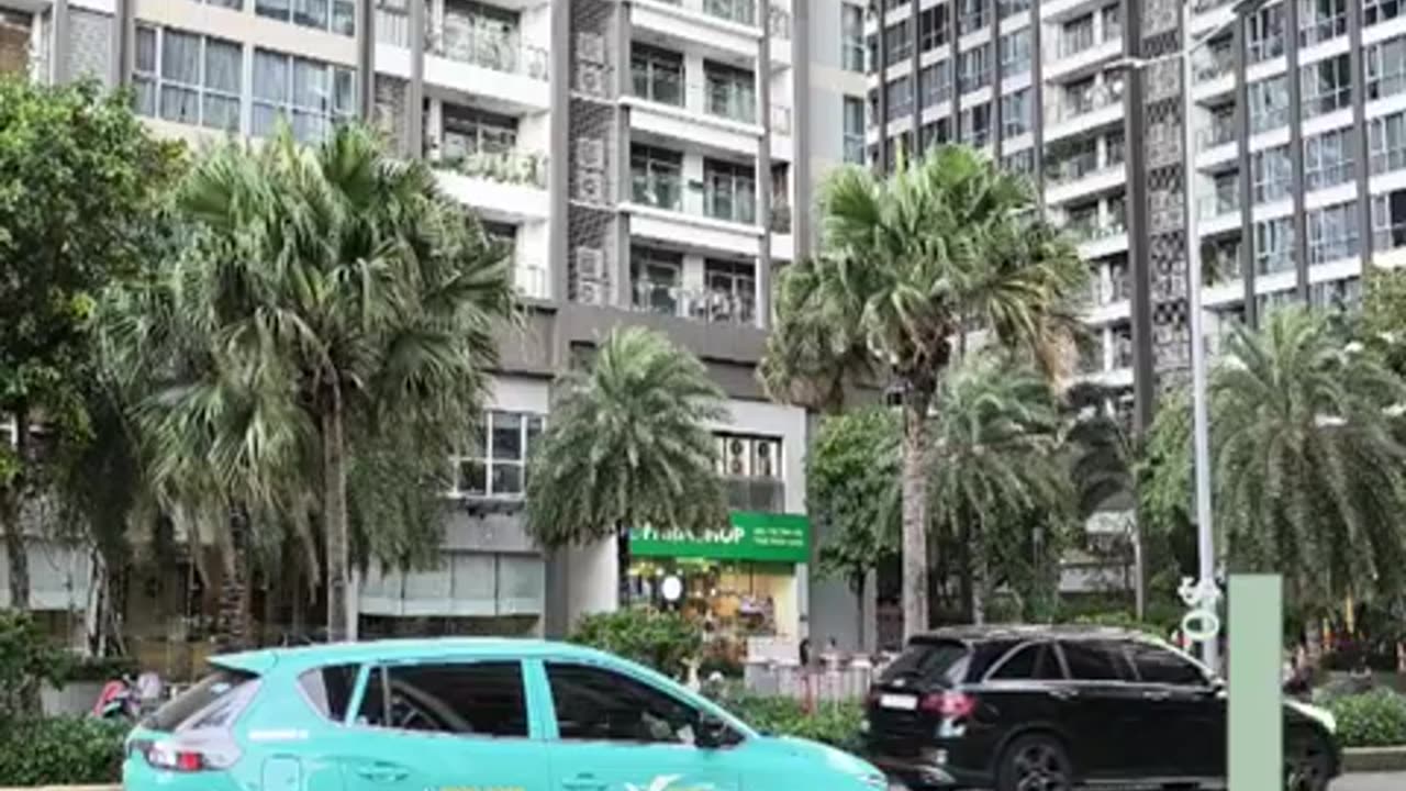 fatty demon pig - 2024 - November 27th