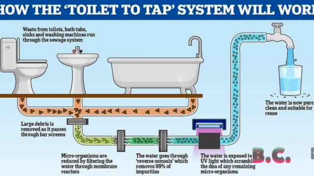 Britons need to be ‘less squeamish’ about drinking water from sewage, says agency head