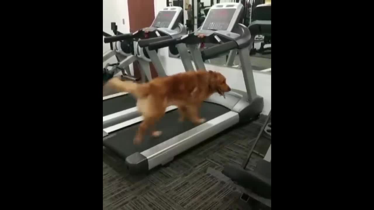 you laugh you lose