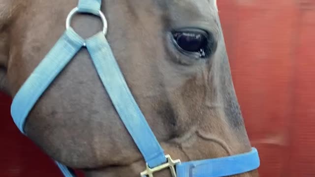 2022-5-29 Walking machin-1B