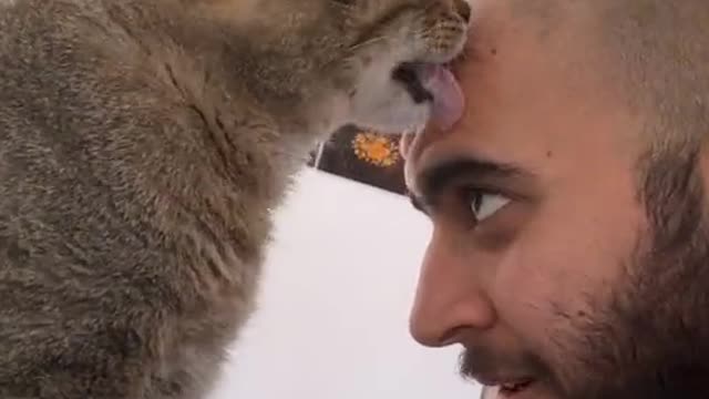 Dude Banters with Sassy Cat