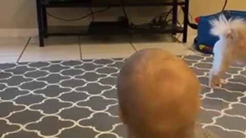 Cute Baby Watching TV With His Dog