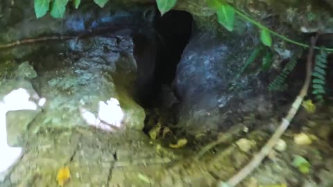 I Found Cozy Cave Club!