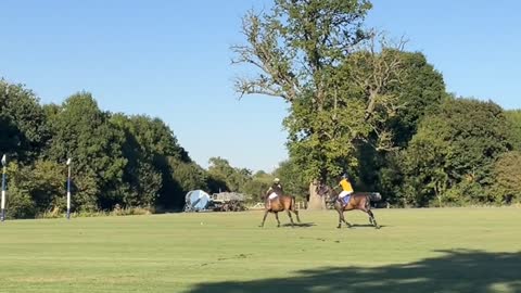 horse racing