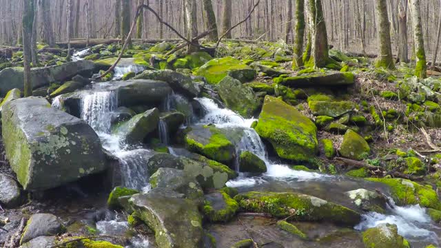 Mountain stream