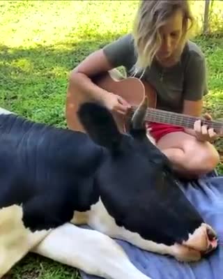 Timeline cleanser.. caw This deserves a million likes..