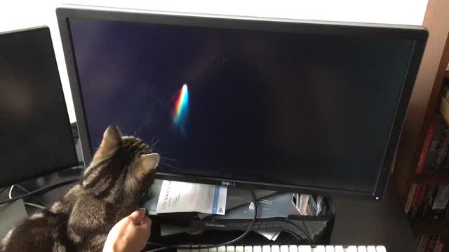 Grover vs the Screensaver