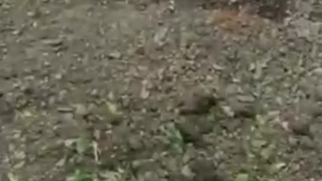Ukraine War - This is how every morning of the APU militants should start