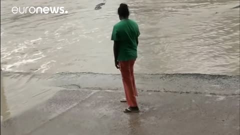 Woman shoos away four-metre-long crocodile with her flip-flop