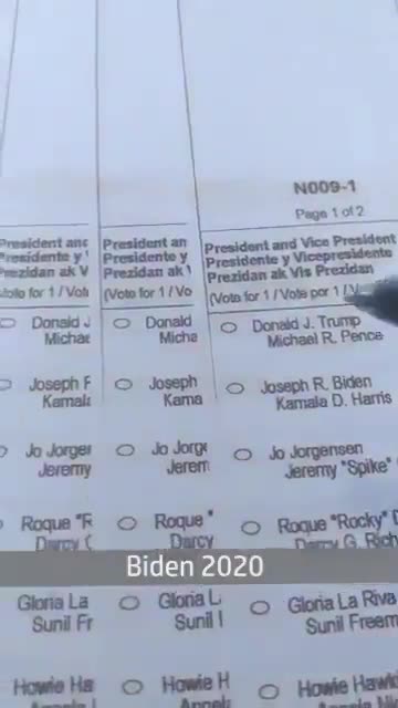 Voter Fraud filmed by the criminal himself