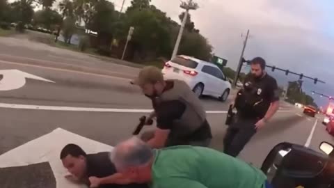 Florida Sheriff Helps Take Down Suspect Fleeing Traffic Stop