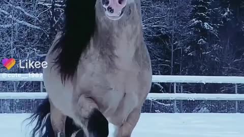 Hors