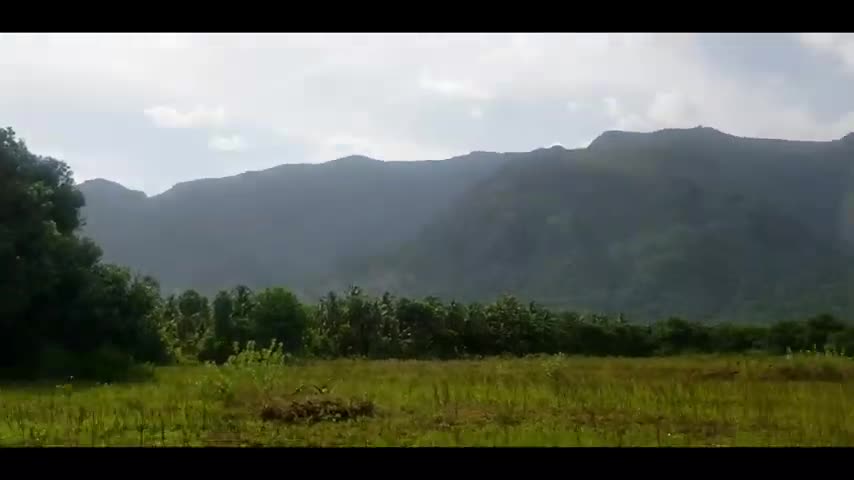 Indian natural