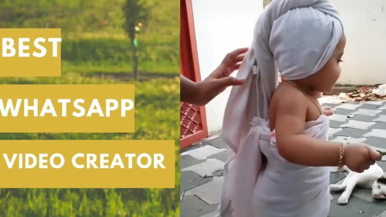 Cute baby videos2