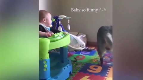 Dogs are the best friend of Babies 41