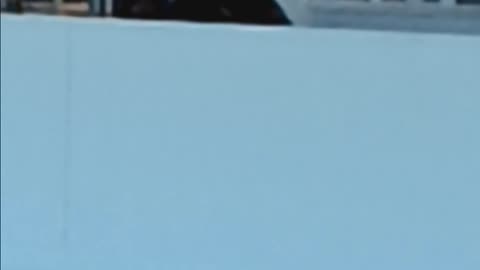 Narcissistic Stalker