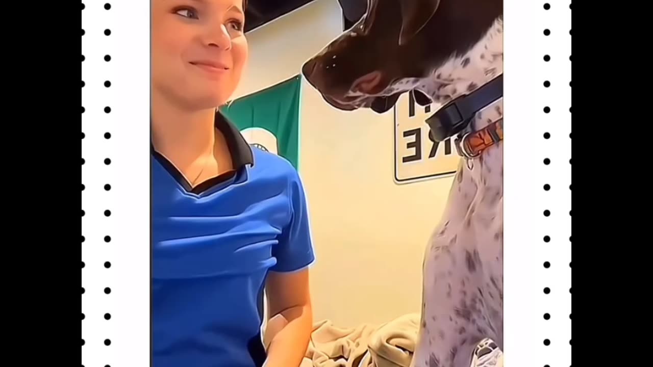 Best funny dogs video🤣🤣