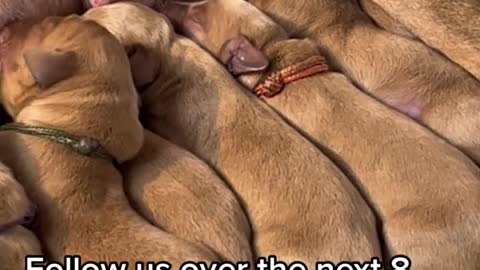 Cute vid