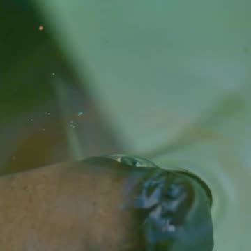 Mind-blowing accuracy 🤯 #PlanetEarth3