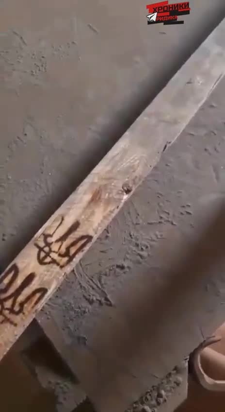 우크라이나 Azov 나치