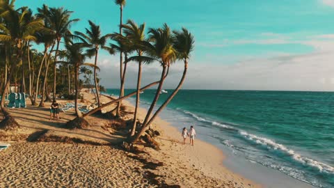 a couple walking on the beach