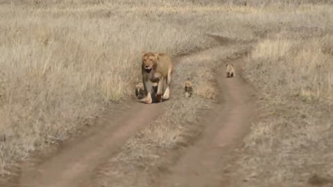 That one disobeying child. After few steps he decides to go the other way.