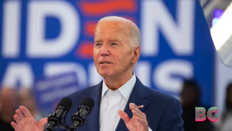 Biden Call With Hispanic Lawmakers Goes Off the Rails