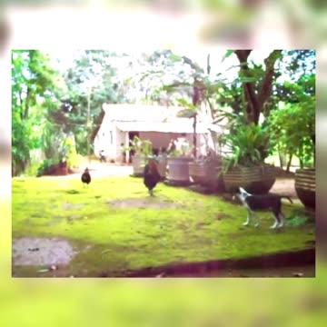 2010 - Celebração de Natal em Caratinga - Minas Gerais