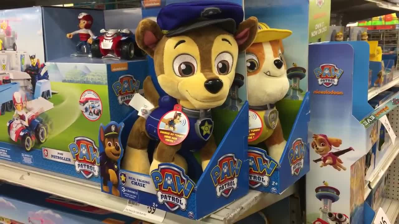 Paw Patrol Talking Chase Toy