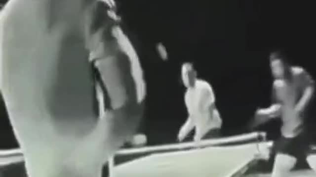 Amazing skills of the legendary Bruce Lee