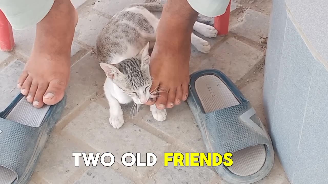 What This Boy Did at a Petrol Pump Will Make Your Heart EXPLODE with Joy