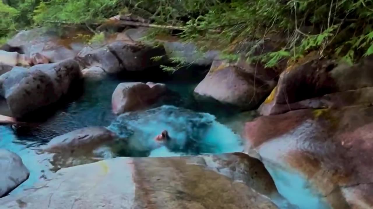 Nature swiming pool