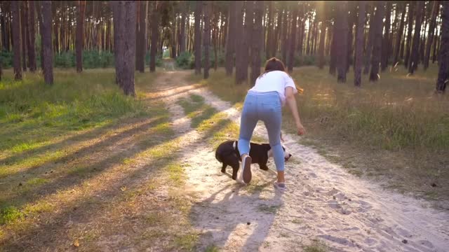 cute dog and girl playing with bal #short