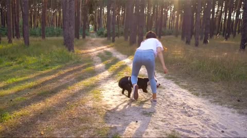 cute dog and girl playing with bal #short