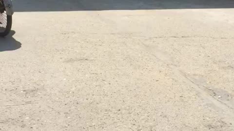 My son finish learning at school