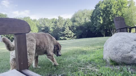 Like in the days of Noah