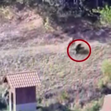 Pamjet si e braktisin shokun e tyre të plagosur, terroristët serbë