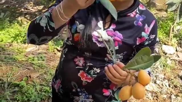 Farm Fresh Ninja Fruit Cutting Desi Satisfying Fruit Ninja Fruit Ideas | Amazing Fruits Video