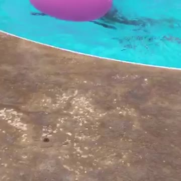 Teen Girl Gets ROCKED When Pool Jump Fails Spectacularly