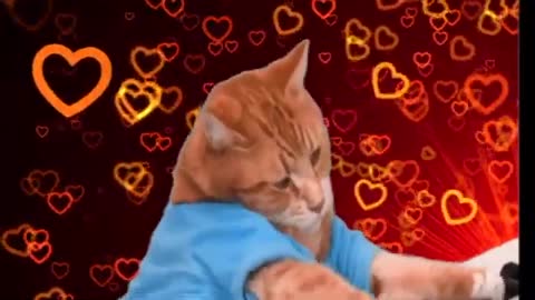 Keyboard Cat VALENTIMES