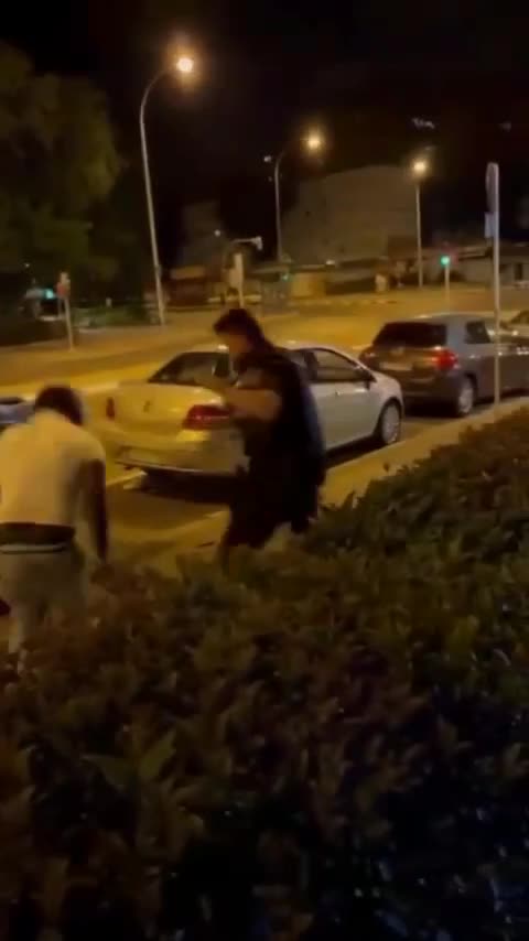 2 Cops get handled by 1 man