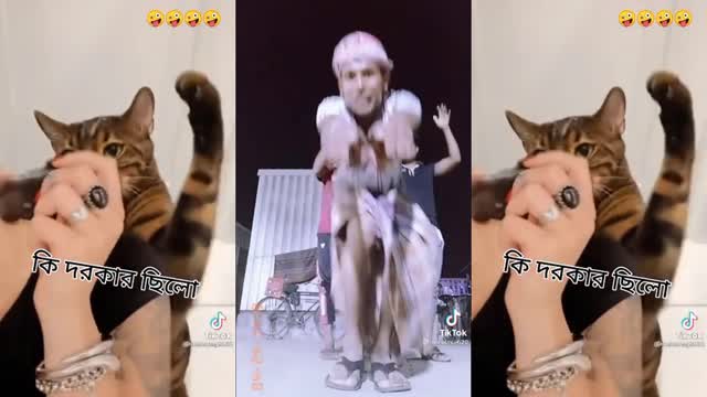 Amazing Girl on cat Funny Video Entertainment