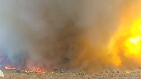 Firenado in Kings Canyon