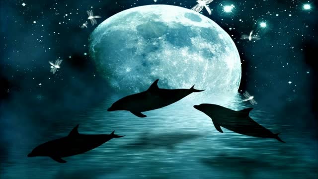 2013_Project ProShow Producer Space - Just Blue