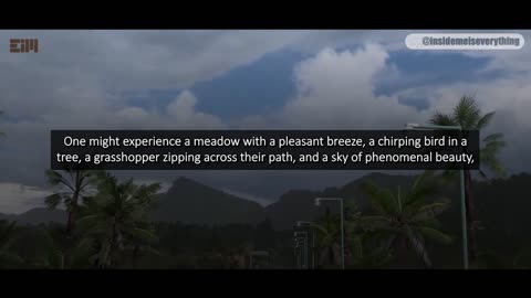 IM NOT SURE IF THIS VIDEO WILL LAST FOR 24 HOURS OR NOT