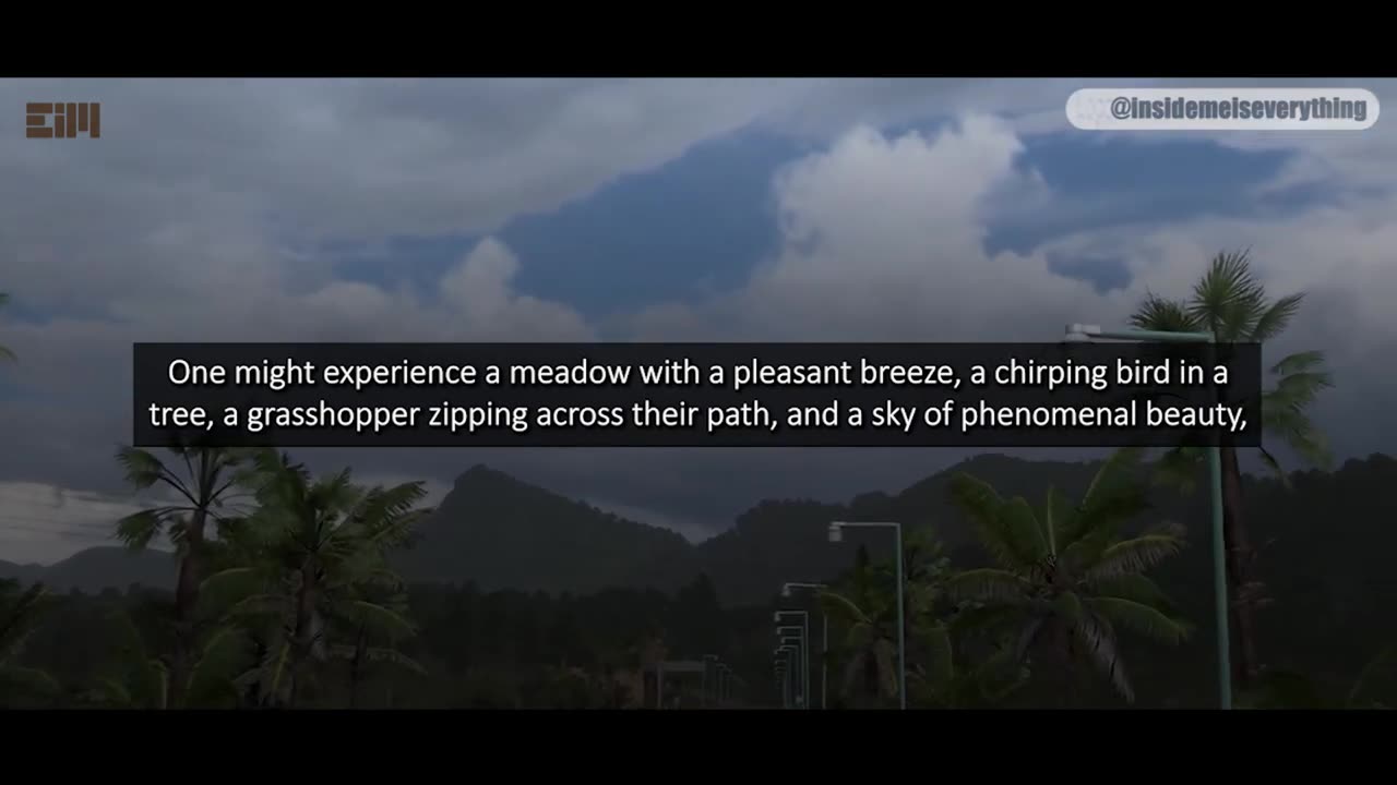 IM NOT SURE IF THIS VIDEO WILL LAST FOR 24 HOURS OR NOT