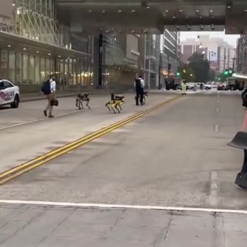 USA Robotics Dog in Boston streets