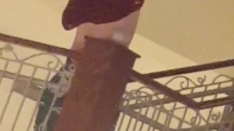 Guy on stairs can't put on red jersey