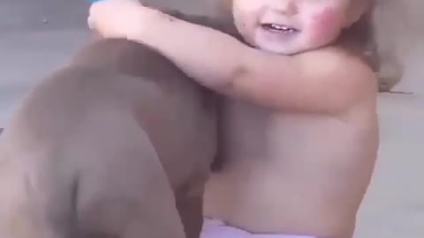 A child hugs a puppy