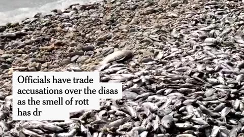 Authorities in central Greece said on Thursday that they had dredged more than 100 tons